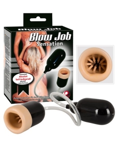 Blow Job Sensation